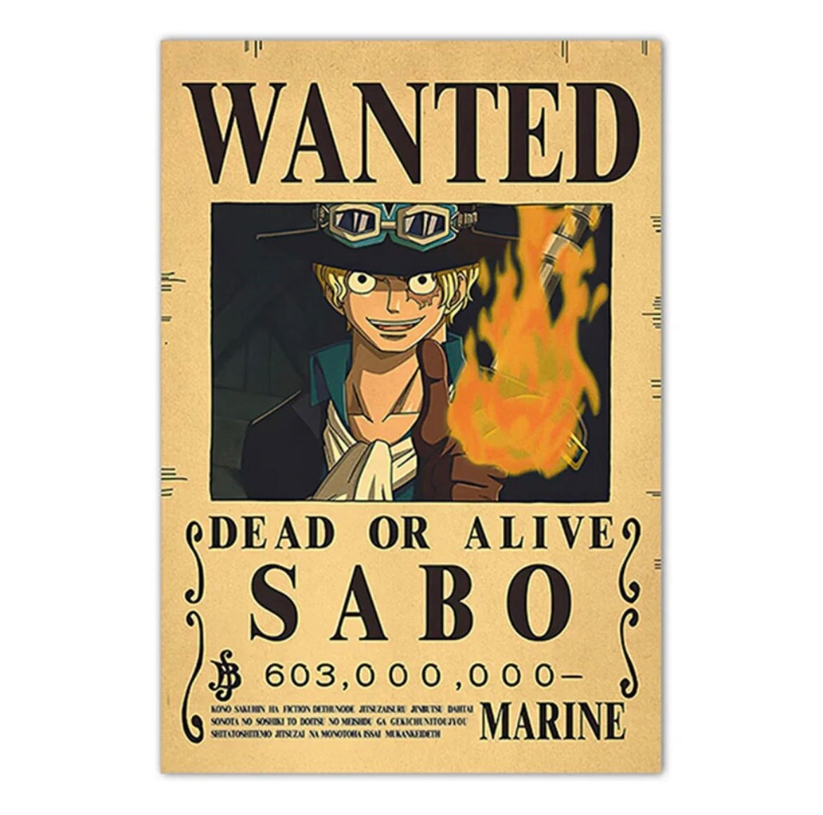 One Piece Wanted Poster (42x28,5cm)