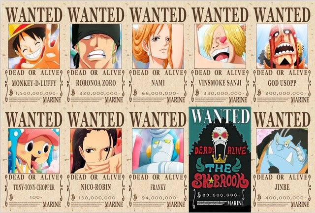 One Piece Puzzle (1000 Puzzle Pieces)